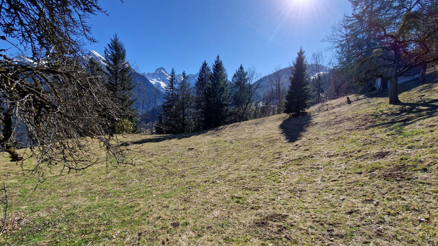 Grundstück mit Ferienhauswidmung zu verkaufen - 797m²