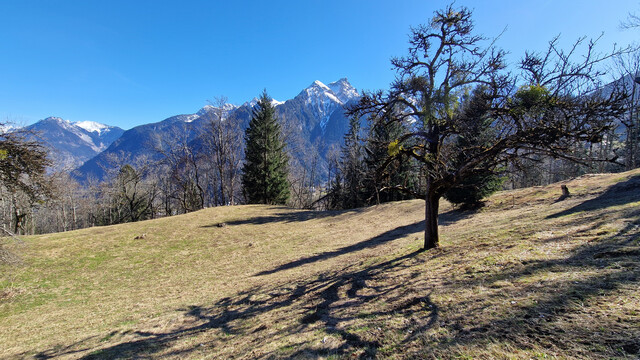 Grundstück mit Ferienhauswidmung zu verkaufen - 797m²