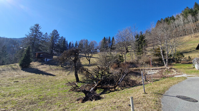 Grundstück mit Ferienhauswidmung zu verkaufen - 797m²