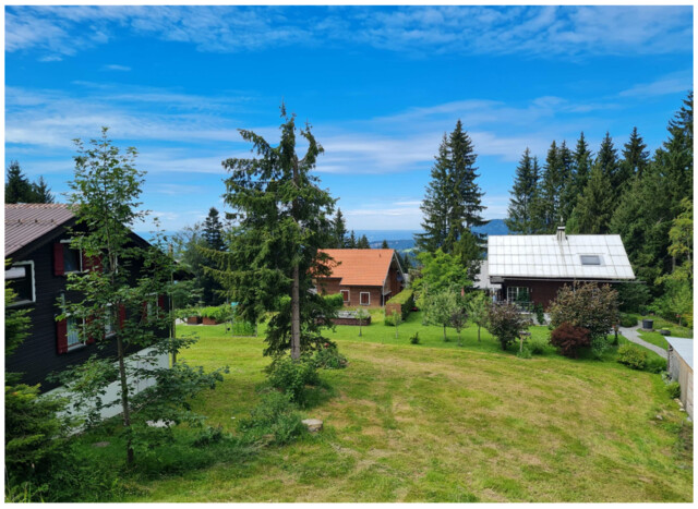 Dornbirn - am Fuße des Bödele: Idyllisches Feriengrundstück - Waldlage mit Seesicht - Provisionsfrei!