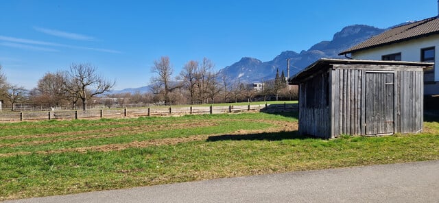 Neues Doppelhaus in Götzis in Ziegelbauweise!