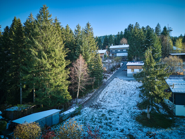 Dornbirn - am Fuße des Bödele: Idyllisches Feriengrundstück - Waldlage mit Seesicht - Provisionsfrei!