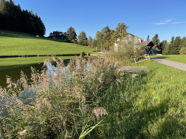 Tolles, ruhig gelegenes Grundstück in Möggers