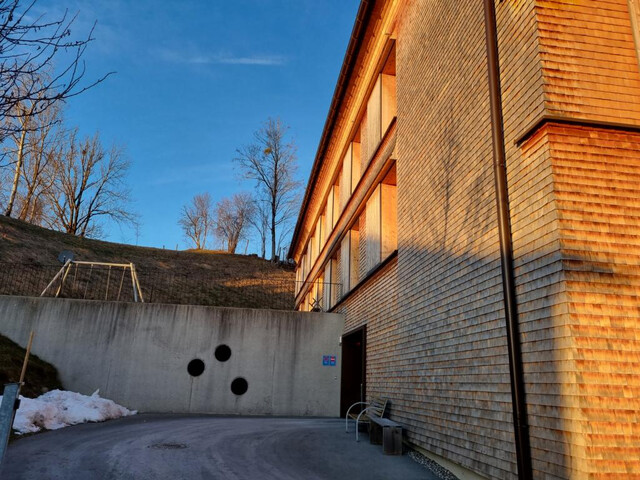 HOCHWERTIGE ARCHITEKTUR - NACHHALTIGES WOHNEN IM BREGENZERWÄLDER HAUS