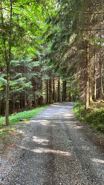 Dornbirn - am Fuße des Bödele: Idyllisches Feriengrundstück - Waldlage mit Seesicht - Provisionsfrei!