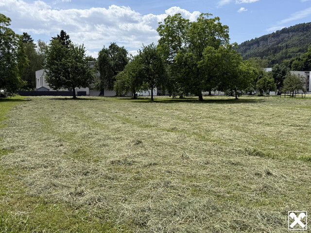 Ihre Zukunft beginnt hier! Sonniges, großzügiges Grundstück