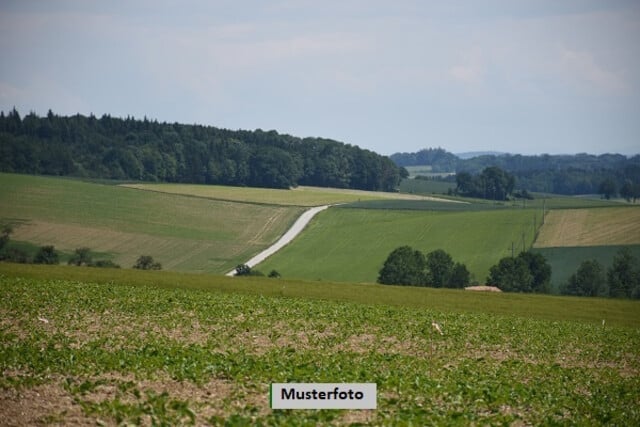 +++ Land- und Forstwirtschaftsfläche +++