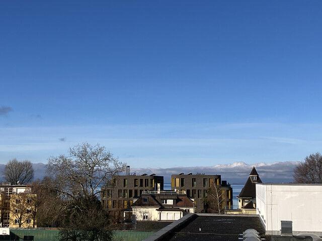 Sonnige, zentral gelegene Dachgeschosswohnung am Fuß des Pfänderhangs, hervorragend angebunden