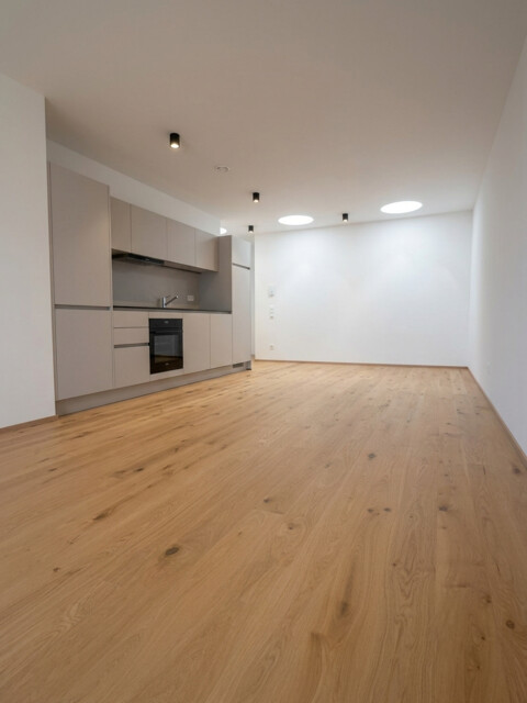Erstbezug: helle 3-Zimmerwohnung im Zentrum von Dornbirn - mit Blick auf den Karren