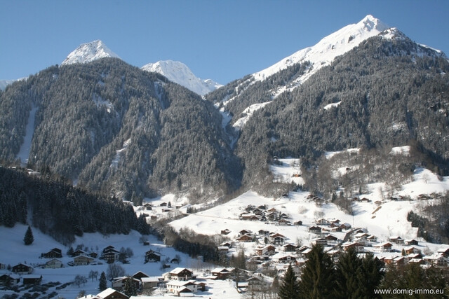 Sonnige 4 Zimmer-Ferienwohnung (8 Betten/2 Bäder) mit TG Platz im Zentrum von St. Gallenkirch/Montafon!