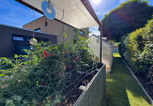 Modernes Einfamilienhaus mit hochwertiger Ausstattung in Mäder