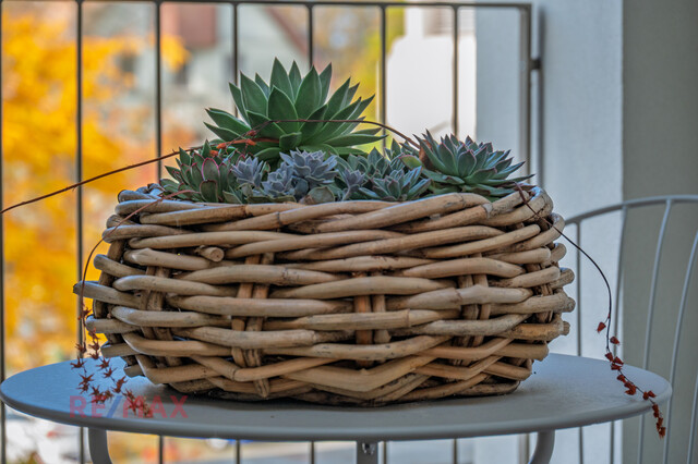 Penthouse Prestige: Das einzige Wohnrefugium auf der obersten Ebene