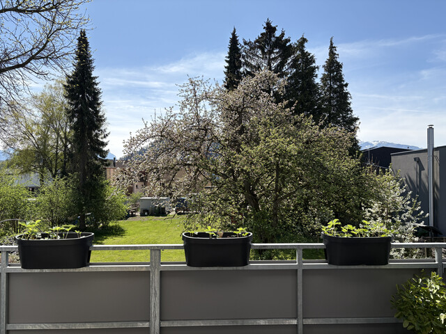 *Provisionsfrei*Wohnbauförderung* 3-Zimmer-Wohnung mit Terrasse in Toplage von Mäder