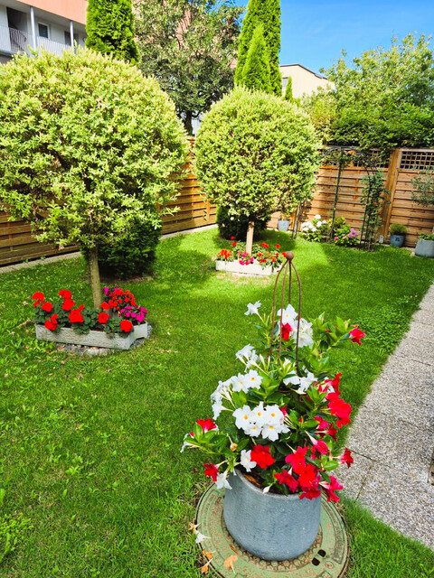 Gartentraum | 4 Zimmer | Vorkloster