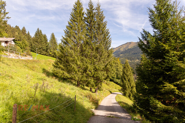 Ankommen und Ausspannen auf 950 m² Naturglück