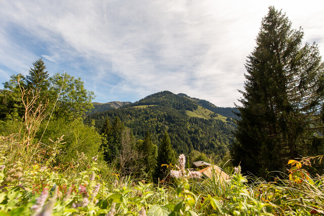 Ankommen und Ausspannen auf 950 m² Naturglück