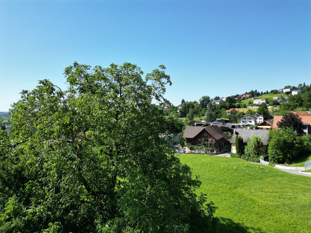 Traumhaftes Grundstück in Dornbirn: 2.786 m² mit atemberaubendem Panoramablick