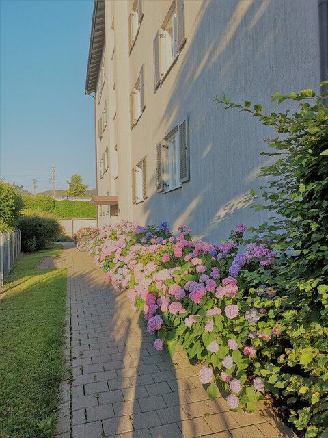 Seltene Gelegenheit! 3-Zimmer-Wohnung mit behaglichem Balkon in Bregenz zum sensationellen Preis!!