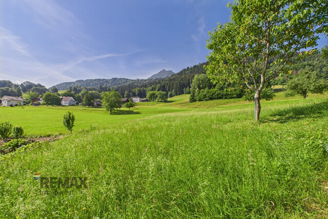 Wohnung mit Hausgefühl: Natur, Ruhe und Komfort im Einklang