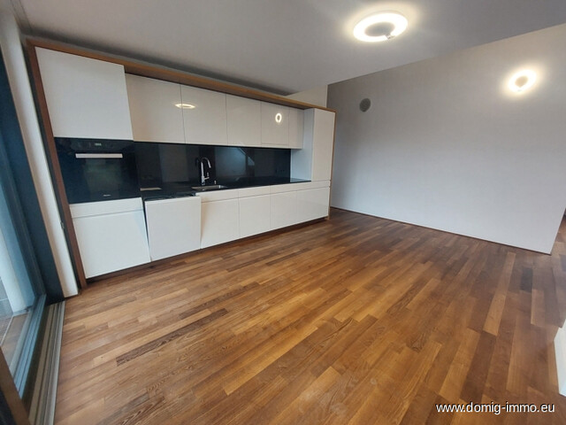 Luxuriöse 4-Zimmer-Penthouse-Wohnung am Kornmarktplatz in Bregenz zu vermieten (TOP 3)