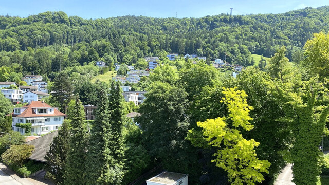 Stilvolle 3,5-Zimmerwohnung mit Seeblick – Neuwertig nach Komplettsanierung