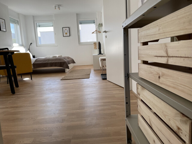 Stilvoll Wohnen in Hohenweiler - Moderne 1-Zimmer Wohnung mit Stellplatz!