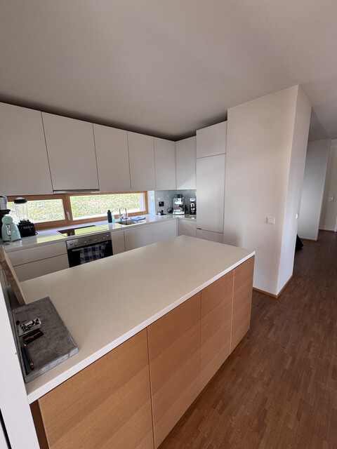 Traumhafter Blick von der FLUH über die Berge und ins Rheintal - 140qm, +4 Zimmer, Alpen-Chalet-Style 