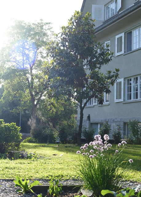 Dornbirn Zentrum - Schön sanierte 2-Zimmer-Wohnung