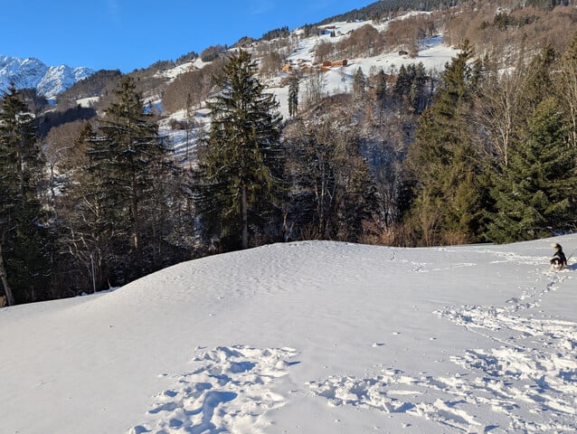 Privat Verkauf! Baugrundstück mit Traumaussicht und direkt an der Skipiste ideal für Ski-In/ Ski-Out! 