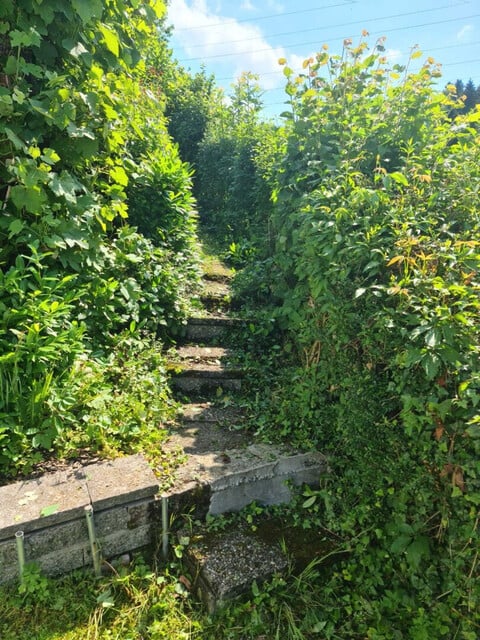 Großzügiges Daheim mit idyllischem Ausblick bis zum Bodensee in Kennelbach