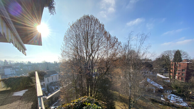 Sonnige Stadtwohnung mit Seesicht und grosser Terrasse, ruhig und zentral