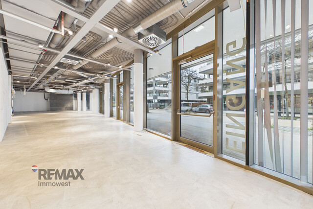 Zentrale Geschäftsfläche in Lauterach – profitieren Sie von der Frequenz rund um XXXLutz