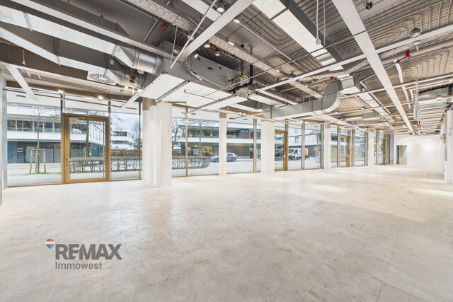 Zentrale Geschäftsfläche in Lauterach – profitieren Sie von der Frequenz rund um XXXLutz