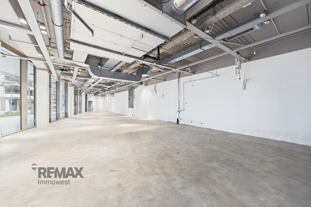 Zentrale Geschäftsfläche in Lauterach – profitieren Sie von der Frequenz rund um XXXLutz