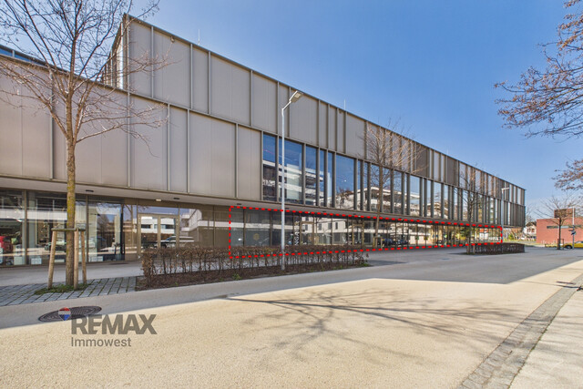 Zentrale Geschäftsfläche in Lauterach – profitieren Sie von der Frequenz rund um XXXLutz