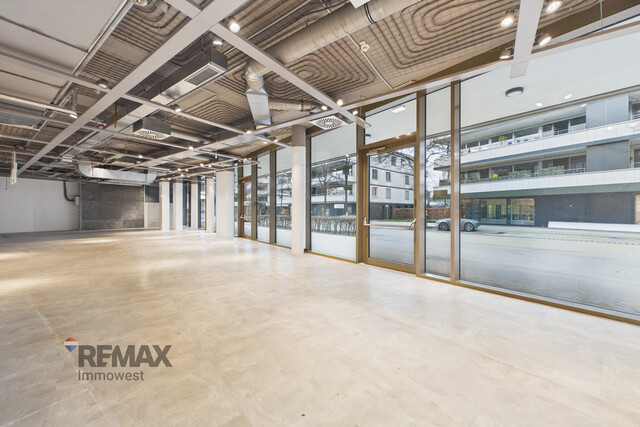 Zentrale Geschäftsfläche in Lauterach – profitieren Sie von der Frequenz rund um XXXLutz