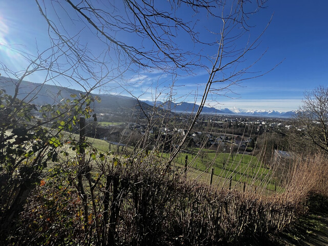 Das Rheintal zu Füßen - Liegenschaft in Kennelbach zu vermieten!