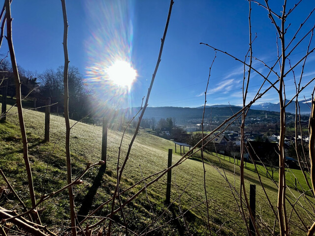 Das Rheintal zu Füßen - Liegenschaft in Kennelbach zu vermieten!