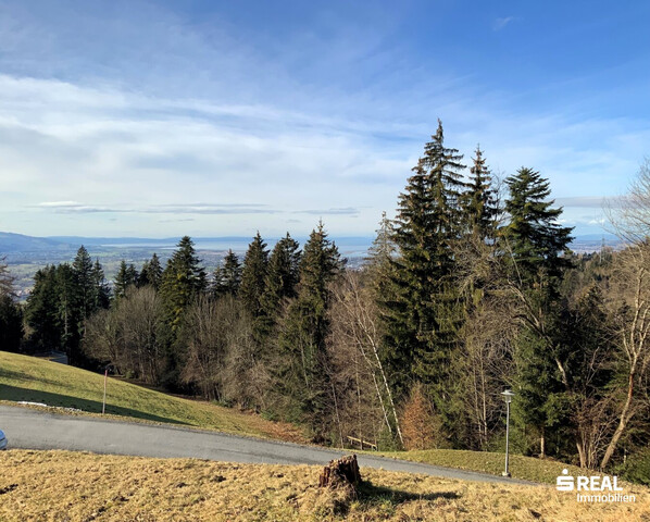 Panorama-Grundstück in Bildstein