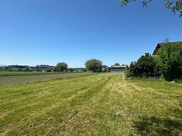 Wohnen am Bodensee - TOP 04 - 3 Zimmer Wohnung