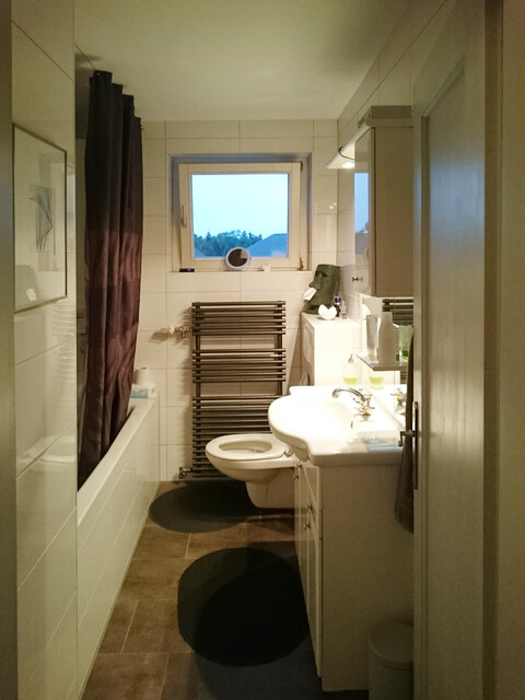 Kleine Penthousewohnung in der Rheinstraße zu verkaufen (vermietet bis 31.08.2027)