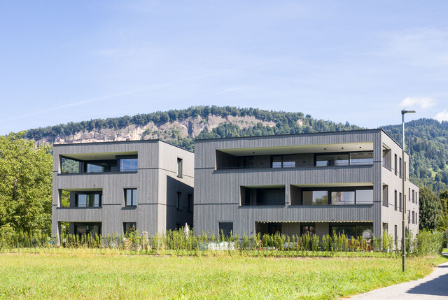 4-Zimmer-Terrassenwohnung W13 in Wolfurt!