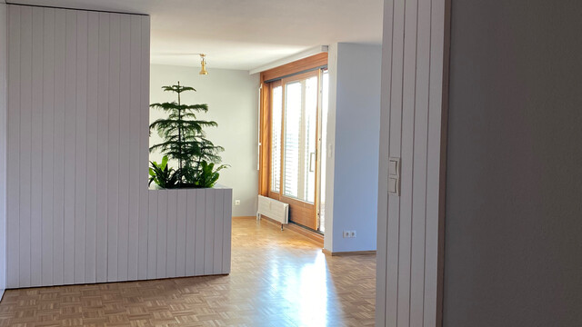 Sonnige Stadtwohnung mit Seesicht und grosser Terrasse, ruhig und zentral