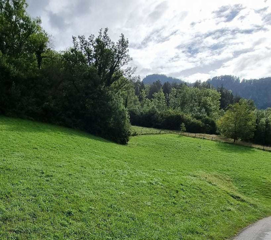 Herrliche Lage! Baugrundstück in Ludesch!