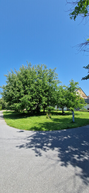 Grundstück in sonniger Lage!