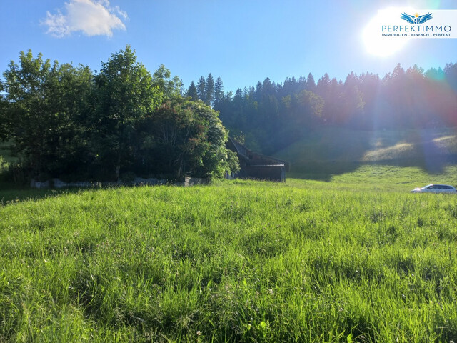 Baugrund in atemberaubender Aussichtslage