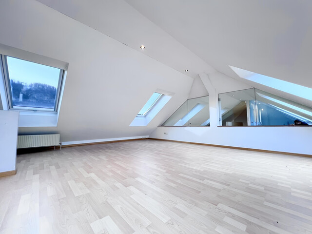 Architekten Maisonette Wohnung mit 180° Aussicht über das Rheintal