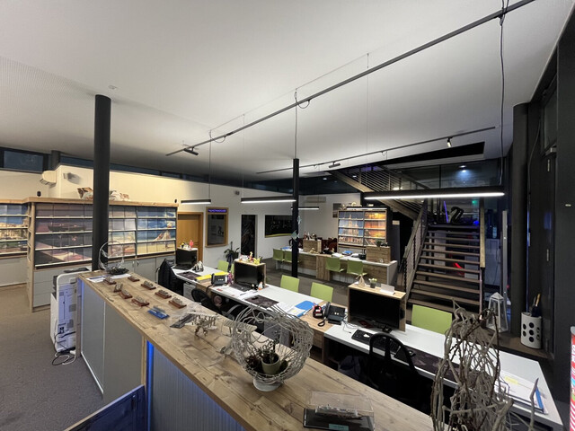 Top ausgestattete Geschäfts-/Büro-/Praxisfläche in der Feldkircher Innenstadt