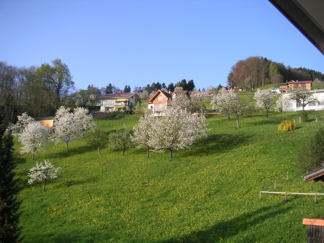 PROVISIONSFREI Einfamilienhaus im sonnigen Fraxern zu vermieten