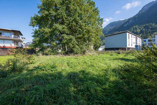 Schönes Baugrundstück zu verkaufen
